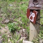 Bayahibe: Snorkeling Tour – Sea, Cotubanama park & Cenotes