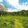 Punta Cana: Anamaya Mountains Walking Tour with Tasting - Dominican Republic