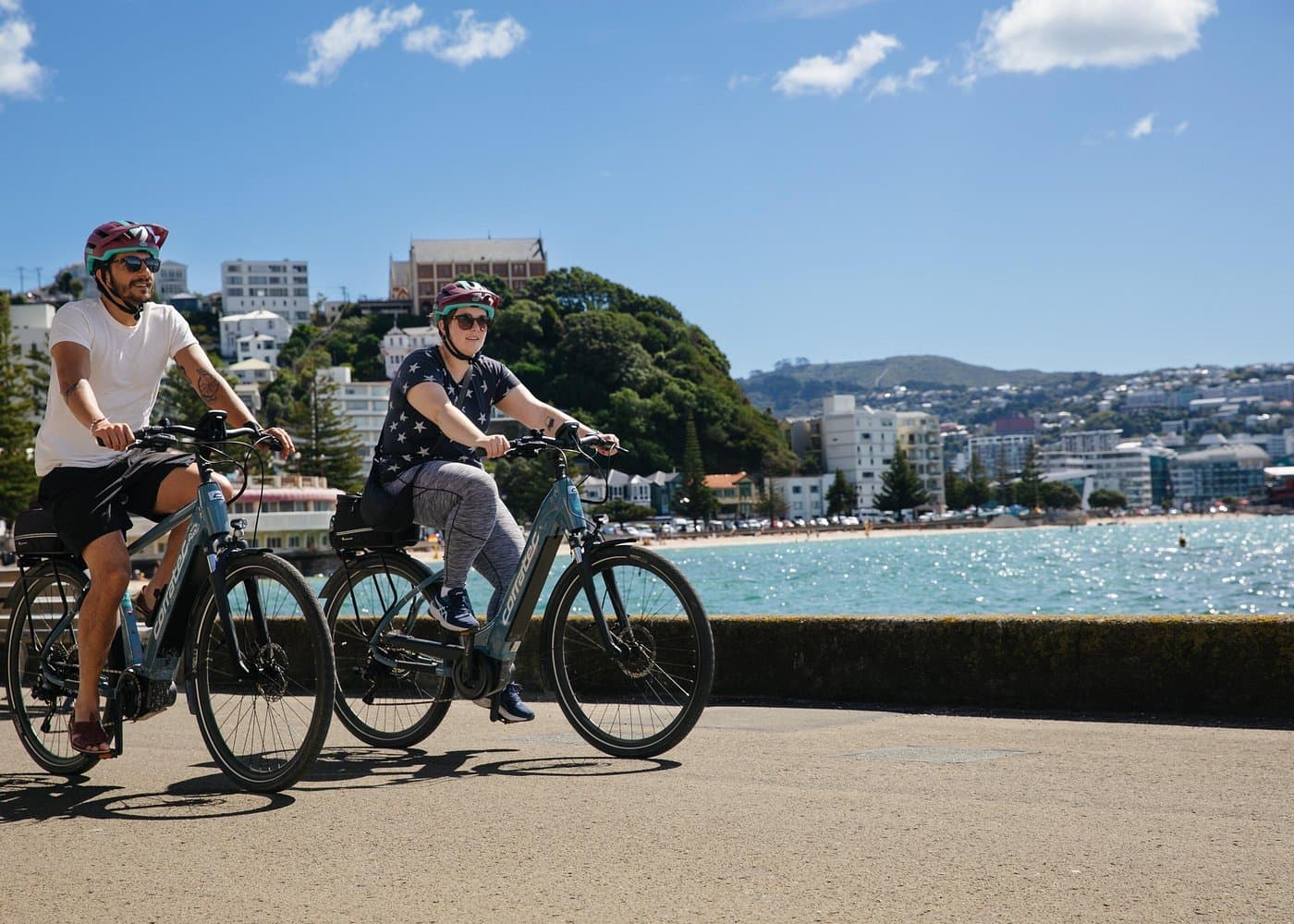 Wellington Electric Bike Rental