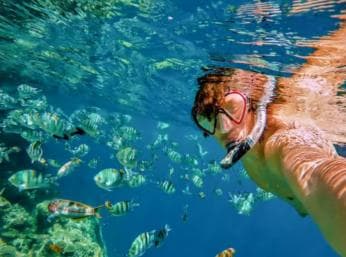 Private: Catalina Island Snorkel Dive Day Trip from Bayahibe - Photo 5 (Gallery view)