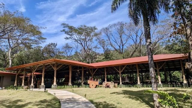 Combo Tour: Lunch + Río Negro hotsprings
