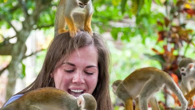 Punta Cana: Triple Jungle Adventure Park Tour with Tastings