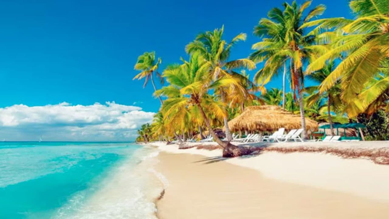 Avventura esotica sull'isola Saona: paradiso nella piscina naturale - Photo 2 (Gallery view)