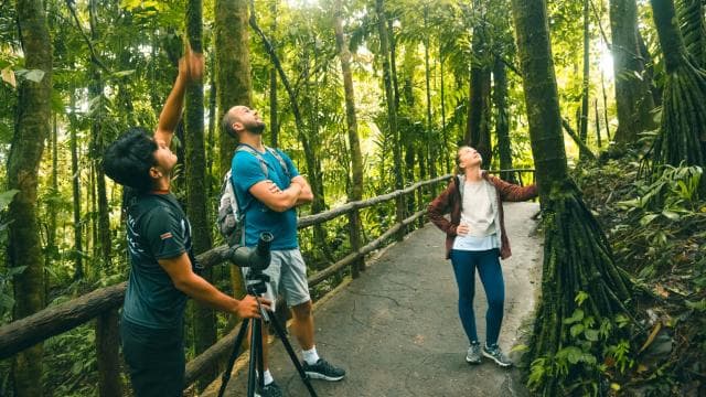 Arenal: Hanging Bridges Walking Tour