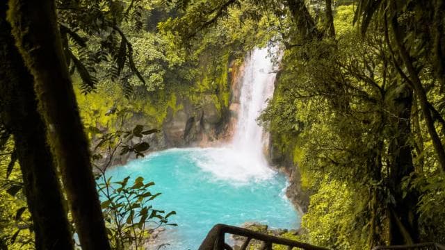 Rio Celeste, explore the rainforest and great waterfall