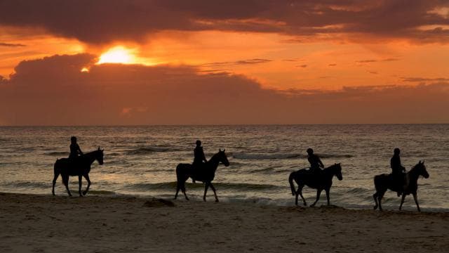 Puerto Rico: Sunset Horseback Rides in Aguadilla Beach - Photo 2 (Gallery view)