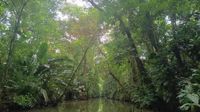 3-hour experience through the channels of the National Park.