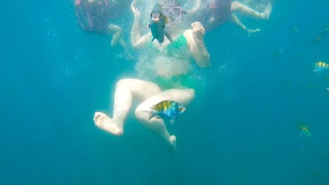 From Puntarenas: Isla Tortuga Full-Day All included tour