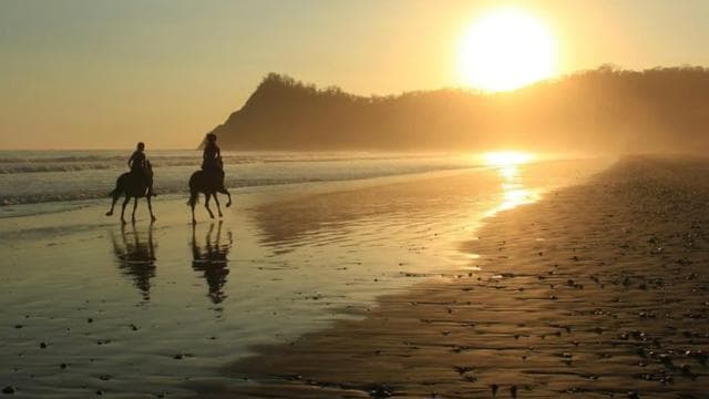 Guanacaste: Safari & Buenavista Beach Horse Riding Tour - Photo 2 (Gallery view)