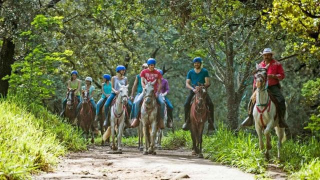 Tamarindo: Horseback to Tamarindo Beach - Guanacaste, CR
