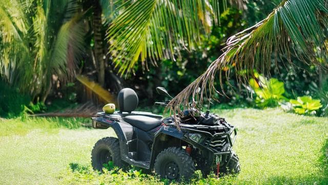 Small Group 4x4 ATV Punta Cana: Jungle & Wild Beaches