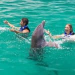 Punta Cana Dolphin Swim Adventure: 40-min Dolphin Experience - Photo 4 (Gallery view)