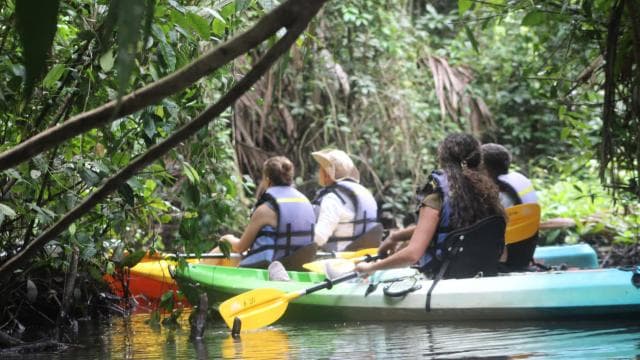Tortuguero: KAYAK Tour in the Canals. An Unparalleled Experience