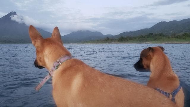 La Fortuna: *TOP* Wildlife Safari Float Experience by Kayak