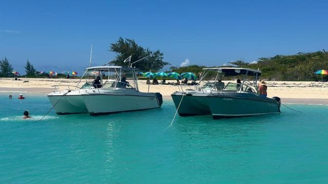 Power Catamaran All Included Island Trips