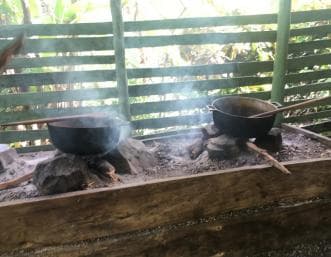 Від Bayahibe: Сафарі Monkeyland на півдня - Photo 5 (Gallery view)