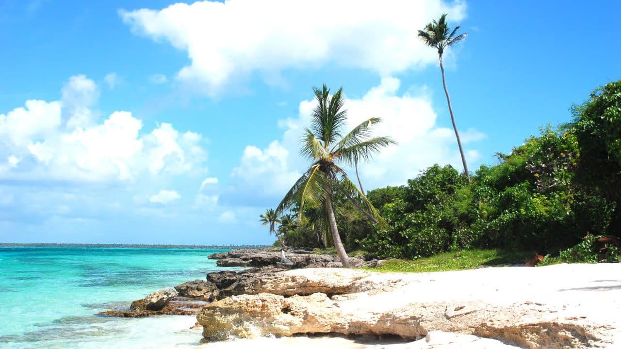 From La Romana: Saona Island for Costa Cruises Passengers - Photo 4 (Gallery view)