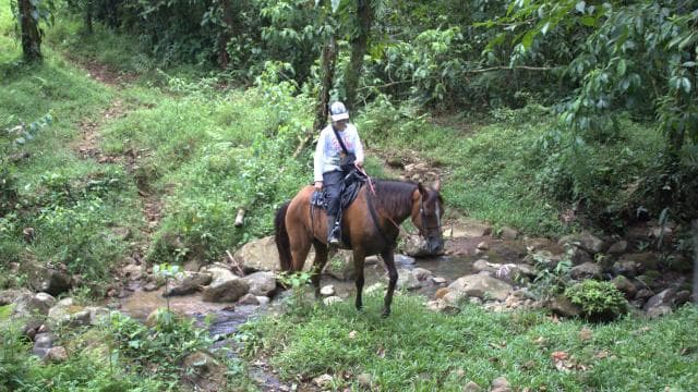 Private Horseback Riding - Río Celeste - Photo 3 (Gallery view)