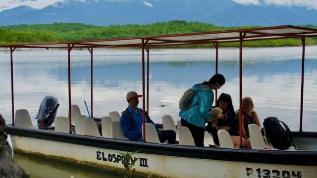 Quepos: Damas Island Authentic Local Mangrove Boat Tour
