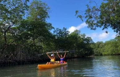 Los Haitises: Guided Kayak Tour with Local Guide