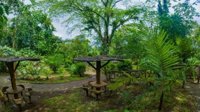 La Fortuna: Hanging Bridges Guided Tour at Mistico Park