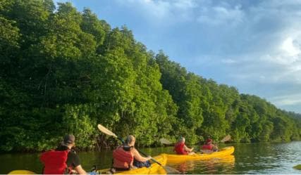 Miches: El Limón Lagoon Guided Kayak Tour with Guide - Dominican Republic