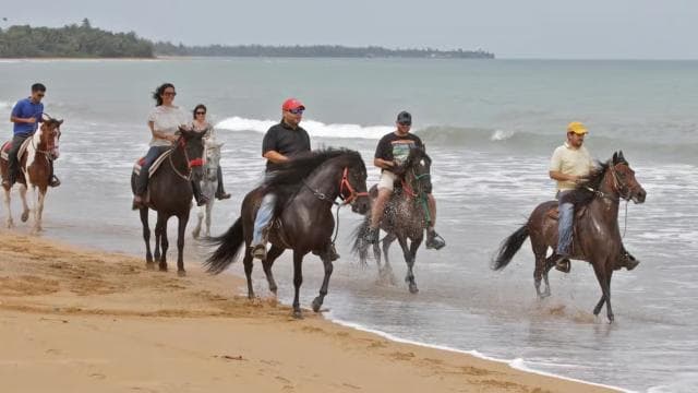 Carabalí Rainforest Park: Beach Horseback Riding