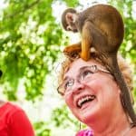 Punta Cana: Monkey Land Half-Day Safari and Plantation - Dominican Republic