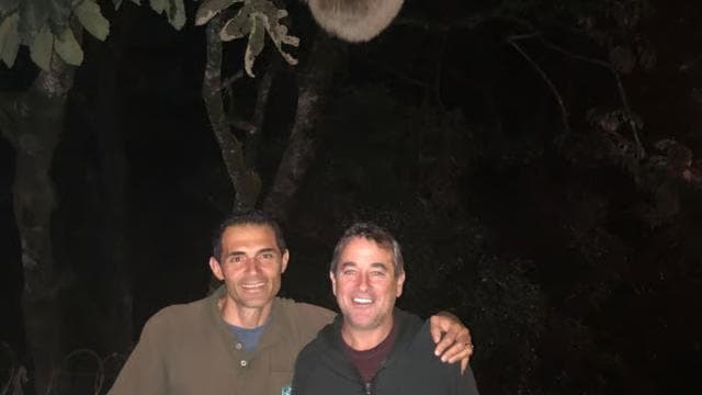 Monteverde: Private Night Tour with Wildlife Encounters