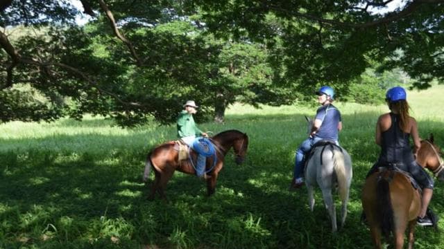 La Cruz, Guanacaste: True Horseback Ride Tropical Forest - Photo 2 (Gallery view)