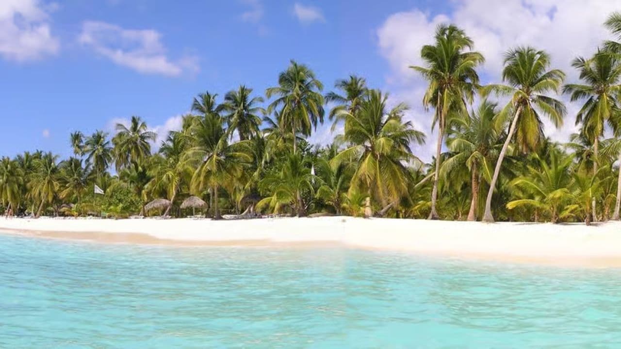 Punta Cana: Saona Island Day Trip with Open Bar and Lunch