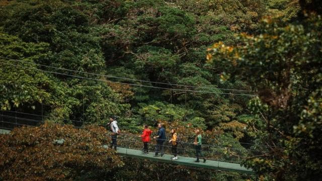 Monteverde: SkyWalk Hanging Bridges Adventure
