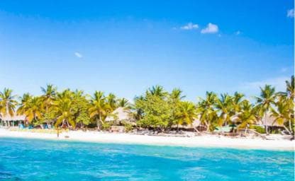 Discover Punta Cana: Full-Day Saona Island All Included - Photo 4 (Gallery view)