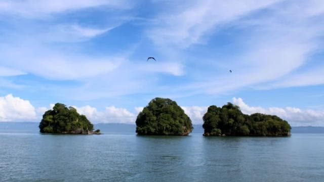 From Samana: Los Haitises Boat and Walking Tour with Lunch