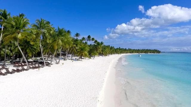 Punta Cana: Saona Islan Full Day With Catamaran and buffet