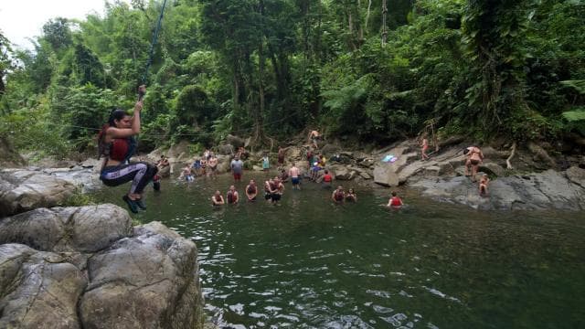 From San Juan: El Yunque Rainforest & Bio Bay Kayak Combo