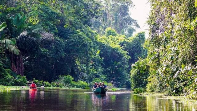 Tortuguero: Canoe Tour and Turtle Nesting Tour Package