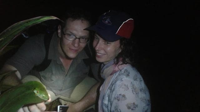 Tortuguero: Night Wildlife Spotting and Jungle Walk - Dominican Republic