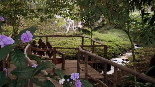 The Blue River Resort & Hot Springs: Full-Day Adventure