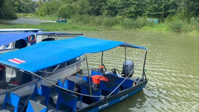 Tortuguero Canal Tour with history from Limon