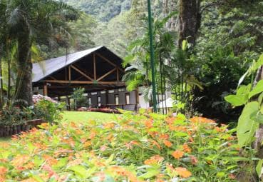 Private: Jungle Buggy Zipline Combo Adventure at La Hacienda - Photo 2 (Gallery view)