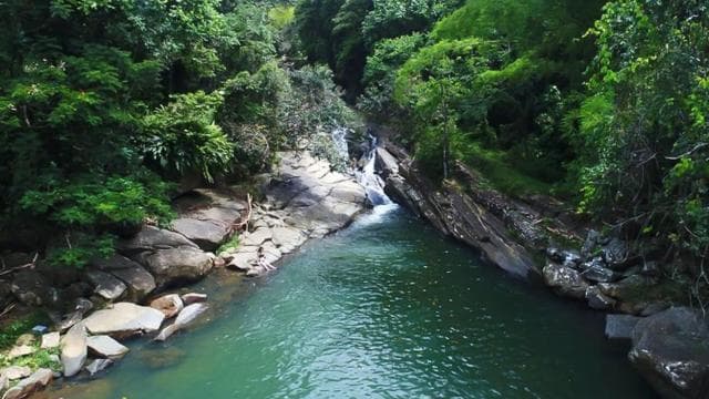 From San Juan: El Yunque Forest Off the Beaten Path Tour