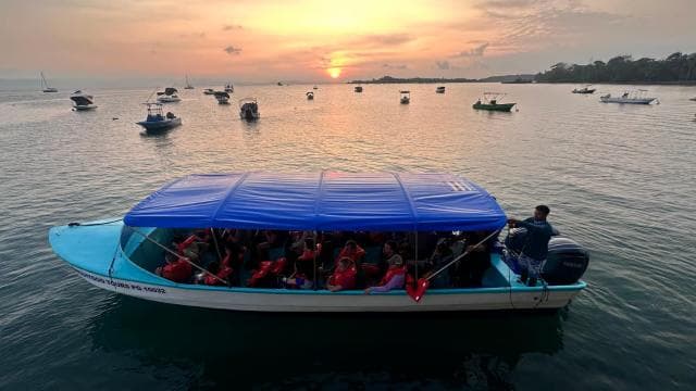 Puerto Jiménez: Private 1-Day Tour to Sirena in Corcovado