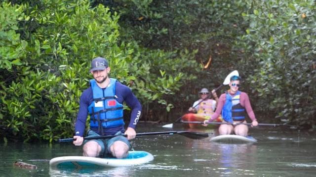 Nosara: Rio Montana Mangrove SUP or Kayak Tour - Dominican Republic