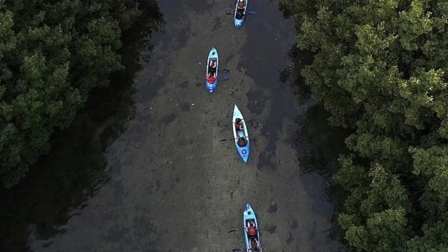 From San Juan: Bioluminescent Bay Kayak Adventure at Night - Dominican Republic