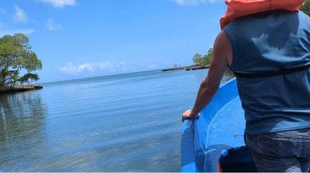 Mangove boat tour - Rio San Juan Guided 4-6 hour tour