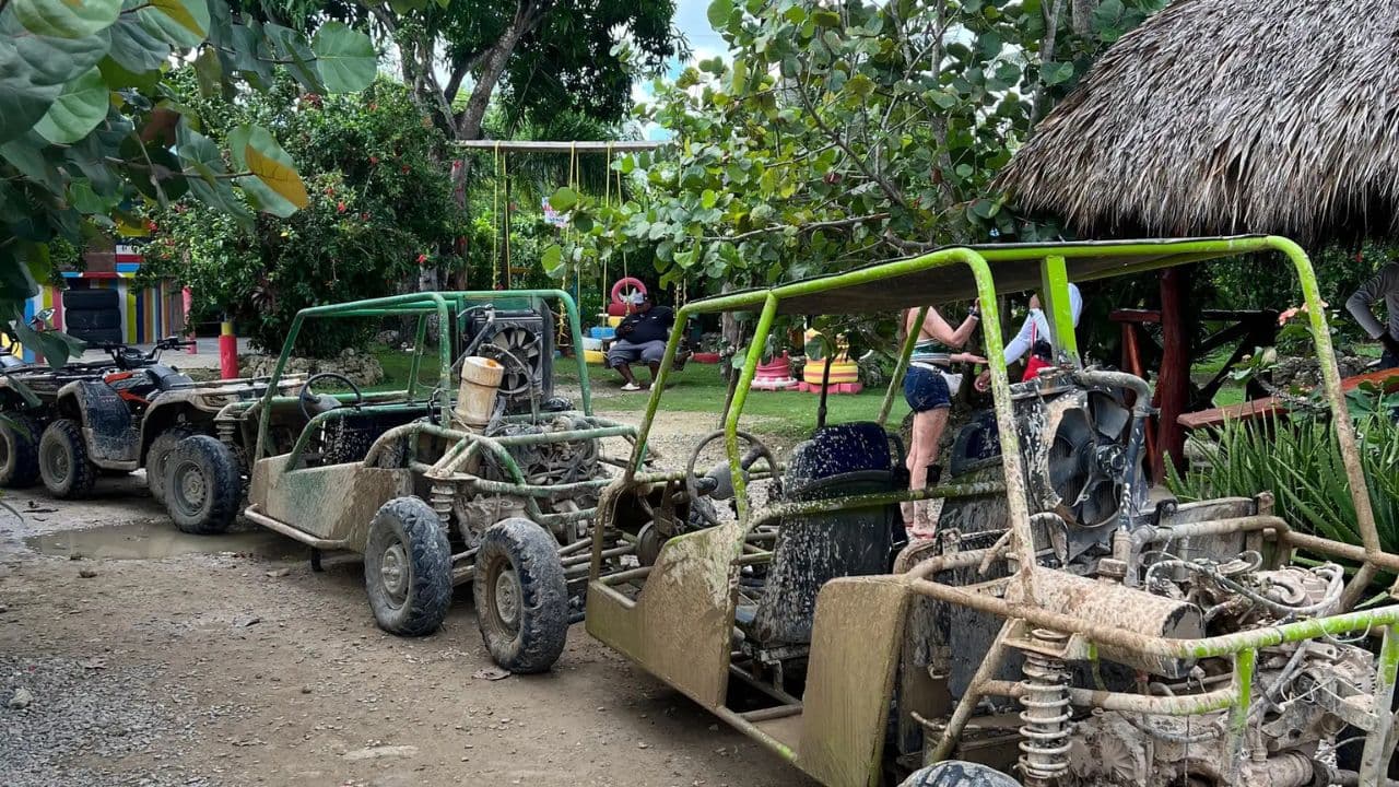 Wild Off-Road Dune Buggy Adventure in Punta Cana - Photo 5 (Gallery view)