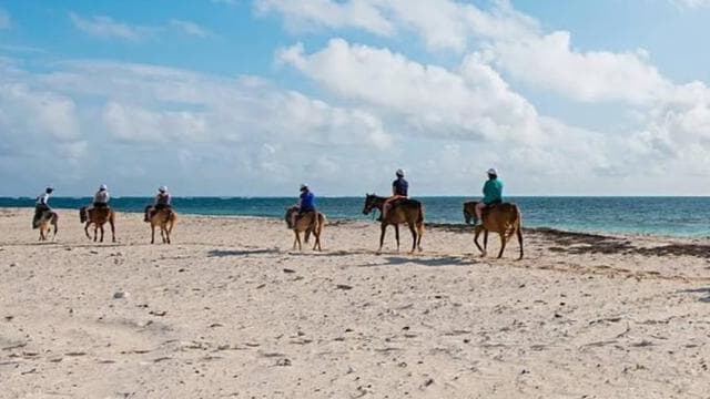 Playa Flamingo: Horseback Riding on the Beach