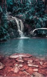 Eksklizif Puerto Plata Cascade ti gwoup Plus Driver - Photo 5 (Gallery view)