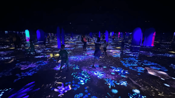 Vstupenka Los Angeles: Bubble Planet Immersive Experience - Photo 3 (Gallery view)